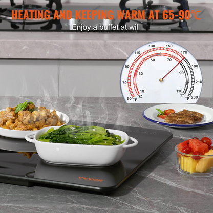 VEVOR Electric Warming Tray, 16.5" x 23.6" Portable Tempered Glass Heating Tray with Temperature Control (65-90℃), Perfect for Dinner, Catering, House, Parties, Events, Entertaining and Holiday, Black